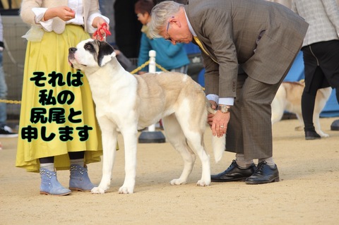 241F992C-D41F-47DD-901F-086BADC1B043.jpeg