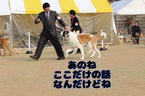 32658772-D70F-4A4D-88A0-47660B646E49.jpeg