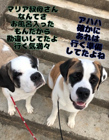 36996D76-5C3A-4BF2-A5E4-2AF8187A1491.jpeg