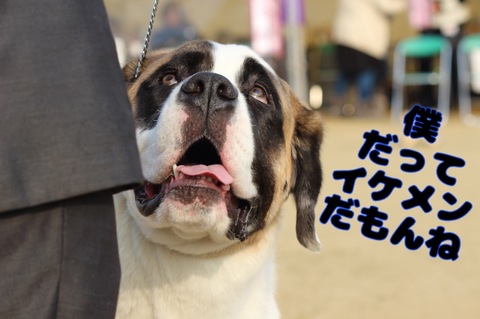 429511DF-5B78-4C7D-9060-D6BF2B3EC736.jpeg