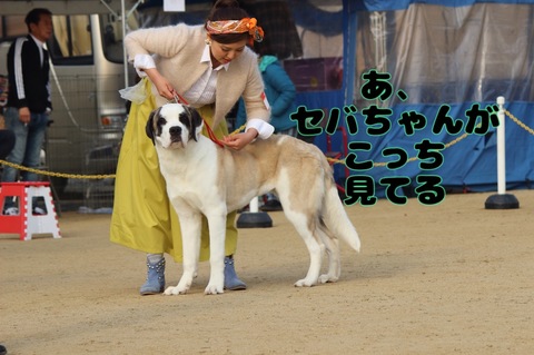 536EAB28-4853-4E17-849A-862E1A8FF66B.jpeg