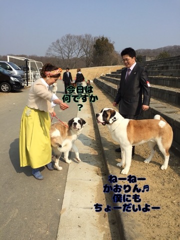 6CA86F49-793C-462A-8457-20BE58908EA9.jpeg