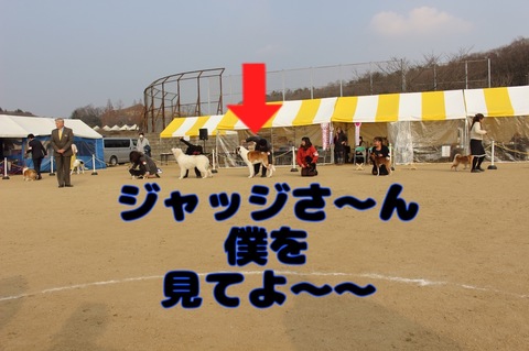 76F0D87D-89DF-4786-BD02-AF43C629A5F5.jpeg