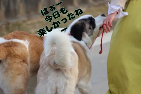 858DE9E6-A753-487A-B14B-8C2E2BC3512A.jpeg