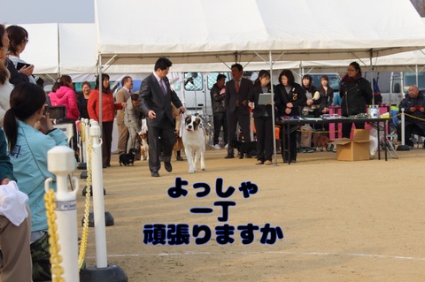 861E07E3-AC3A-4E52-9984-42905056479A.jpeg