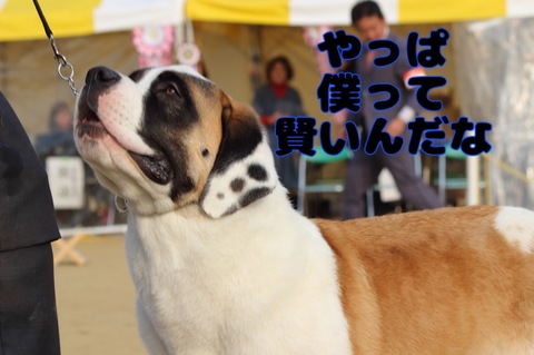 8F0FF9BB-B943-4D28-9E38-4F1FFC6EC17F.jpeg