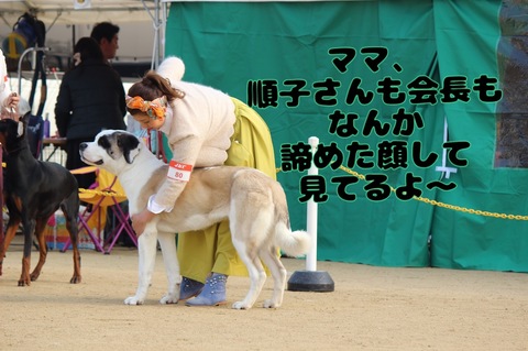 8FAFA129-C1FB-45E4-AC8B-0365CF945A49.jpeg
