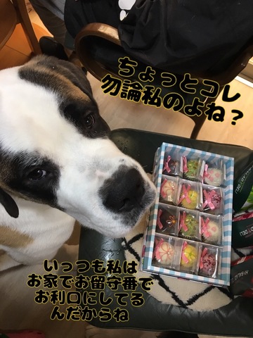 B246C126-D4EC-4231-878E-CBFEFBE2B875.jpeg