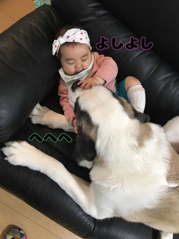 03DDC989-B02E-4130-9371-2909F7DC6CE3.jpeg