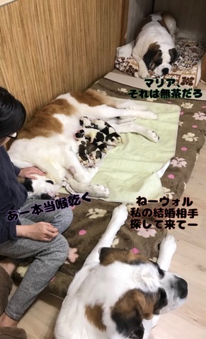 0913B834-C92A-45D8-96CF-8DBC0CF61D13.jpeg