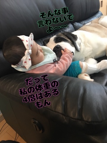 0C0A8B2D-ADF7-4F5E-83CF-7ACC7AD1B5CD.jpeg