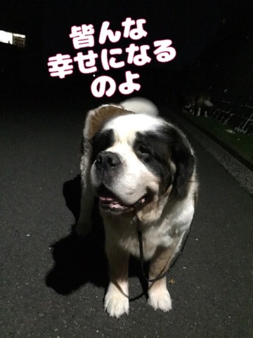 16627A87-517A-4BCF-97AC-959909F01BA3.jpeg