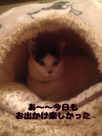 1AB5153B-1578-4062-B775-16B681D9CEAF.jpeg