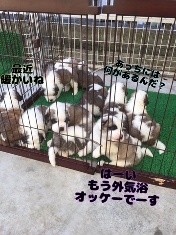 26368EE5-59C7-44E7-8291-92E9F3A14AA1.jpeg