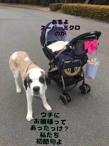 26EC14CE-178F-4C59-9E3E-FE0A3C79920A.jpeg