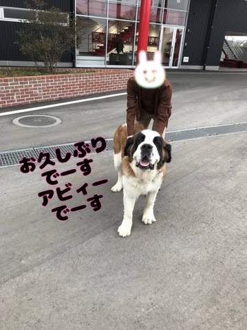 2D68EC3A-37A9-4EA5-AA0D-3F0EB2AA6D33.jpeg