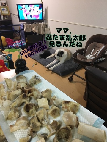 2F85E316-CC4F-495B-9445-030197908691.jpeg