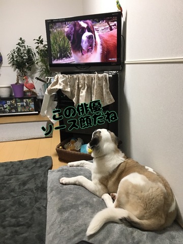 30C2D43D-D267-41F4-B2FF-529727B8C7E1.jpeg