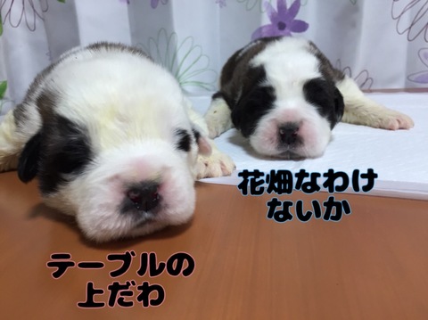 31C290E7-B8CC-45C9-A218-566A130A3E40.jpeg