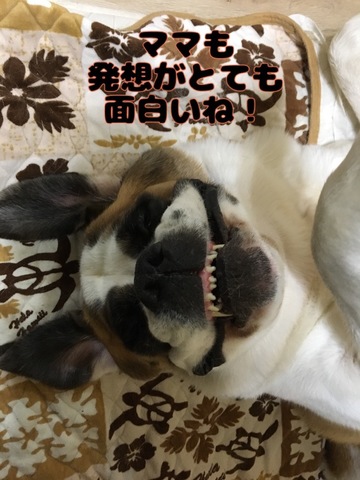 34D55028-C218-4512-899D-1E9A4EEB656E.jpeg