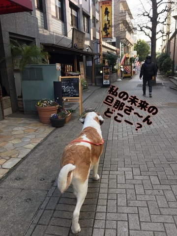 39AB3607-C4E8-470D-851D-06F184DB1F20.jpeg