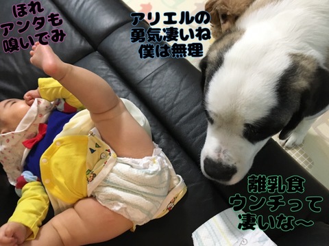 3C74CC3B-5F20-404A-A642-E98197C461E3.jpeg