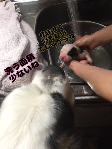 40CF65E0-8DB7-4C7D-BB73-5B40D9B6CC93.jpeg
