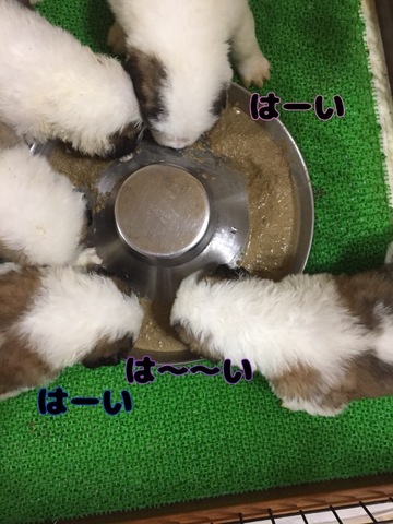 45A9466C-F5AF-45FD-8722-4159B9F601ED.jpeg