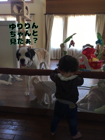 48665608-FF91-48AB-BC78-B01FE951329E.jpeg