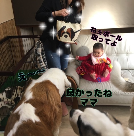 4C1A6250-7727-47A9-8FC0-C55C15D3BBF0.jpeg