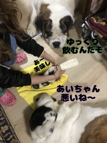 50BA2A24-30AA-4472-8621-54C738A38346.jpeg