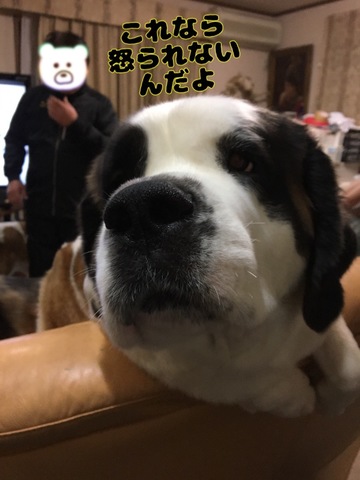 5298487A-8EED-424C-8A59-1267F4711EBD.jpeg