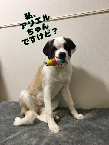 5F7BE6A7-F6AE-41DF-BC91-5C30E95D8933.jpeg