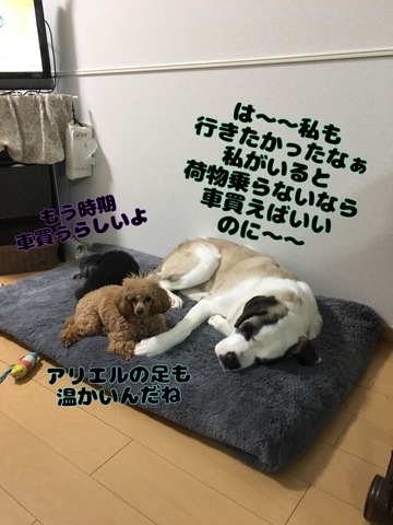 63A5DAC8-138A-452B-88E7-8A1EB0B6FA3B.jpeg