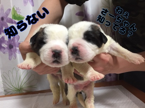 70D402D2-84AC-4819-A0DB-7CC00CDF244C.jpeg