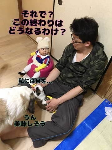 7568F2F7-2C74-4041-B51B-2D1B7E5ACDDF.jpeg