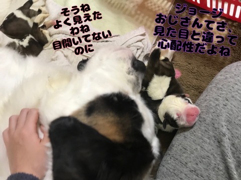 7824BCD1-DA81-41FB-917D-C9B3722F6298.jpeg