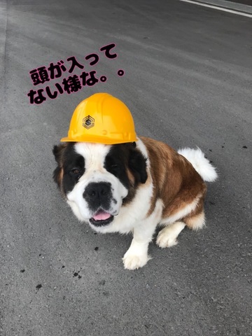 7983E509-FED9-42C8-9615-1A7AD2E8E484.jpeg