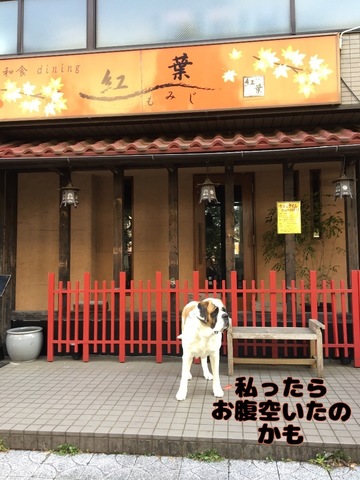 808FB11E-6F16-4617-921B-36ACAE484A87.jpeg