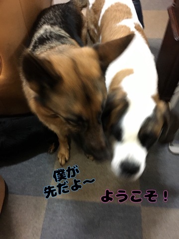 811AC3D3-6A1F-456A-8471-5A9C22E517D6.jpeg