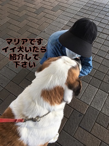 84D66090-9F28-4611-A4FA-295708023489.jpeg