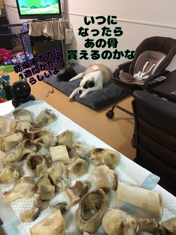 903FF969-5D3D-4401-8632-D128125FDCCF.jpeg