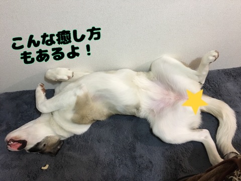 92AAD07F-60C6-43CE-A5F9-ED0C713D5D01.jpeg