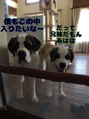 9EC9EAC5-2A72-4B01-96B7-67875604060B.jpeg
