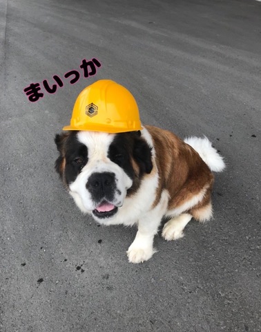 9F1C6AB3-C3AC-4C62-9CFF-E5A4EA466B47.jpeg