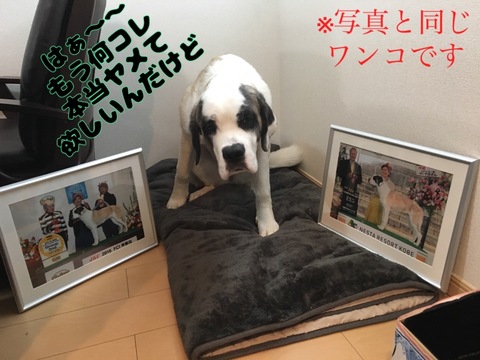 A8B8AB79-BDF1-41DD-9FFA-BB78987A7EA1.jpeg