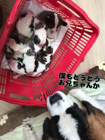 AACC5F24-CB40-4C22-8156-646B5AEF6531.jpeg