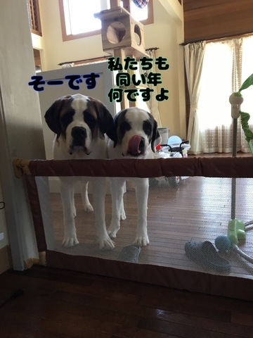 ABE92271-D2A5-411E-AC6C-A590DC715BE3.jpeg