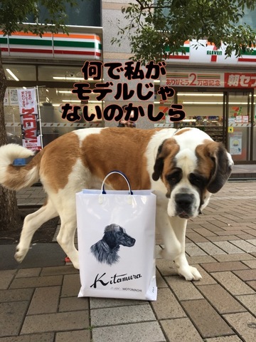 BAB40E9E-9072-4B84-A1DD-85EF68F6508E.jpeg