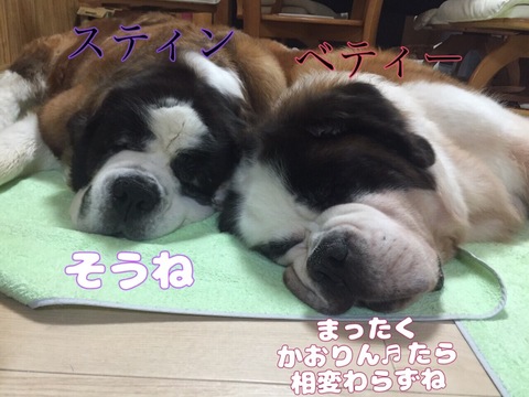 BEA6044C-ABCB-495A-AD3F-71DD0F6519F1.jpeg